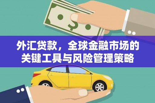 天津外汇贷款，全球金融市场的关键工具与风险管理策略