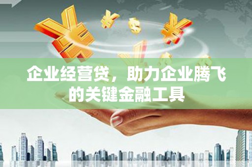 天津企业经营贷，助力企业腾飞的关键金融工具