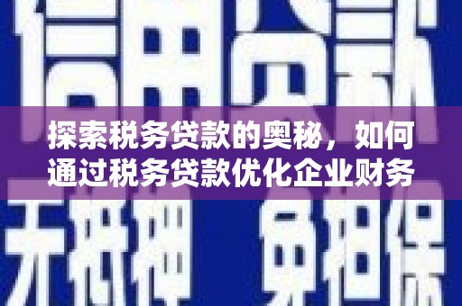 天津探索税务贷款的奥秘，如何通过税务贷款优化企业财务