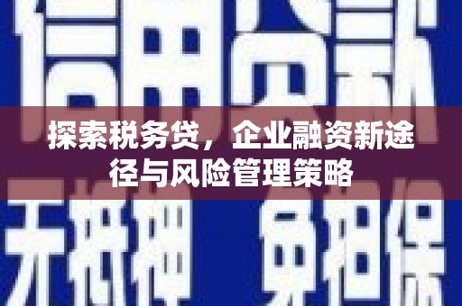 天津探索税务贷，企业融资新途径与风险管理策略