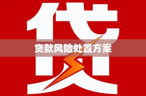 天津贷款风险处置方案