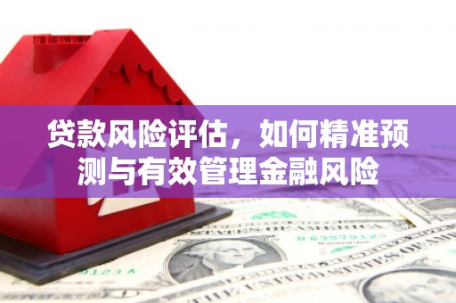 天津贷款风险评估，如何精准预测与有效管理金融风险