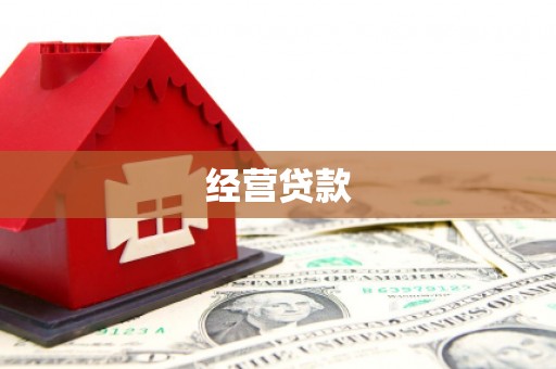 天津经营贷款