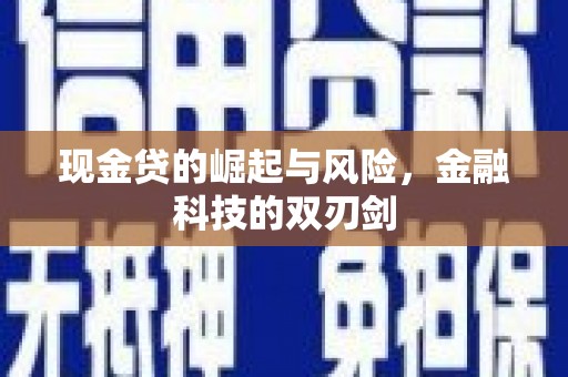 天津现金贷的崛起与风险，金融科技的双刃剑