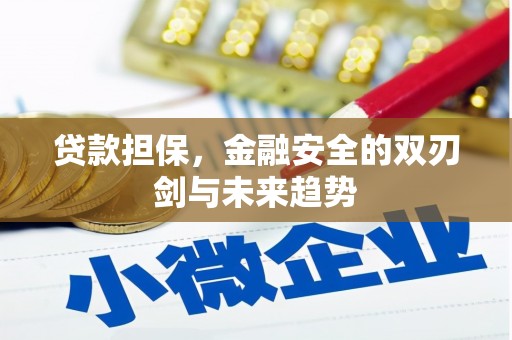 天津贷款担保，金融安全的双刃剑与未来趋势