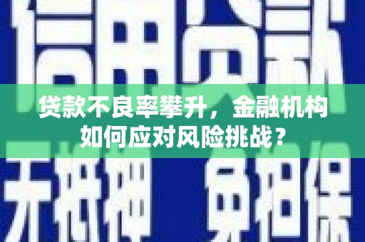 天津贷款不良率攀升，金融机构如何应对风险挑战？
