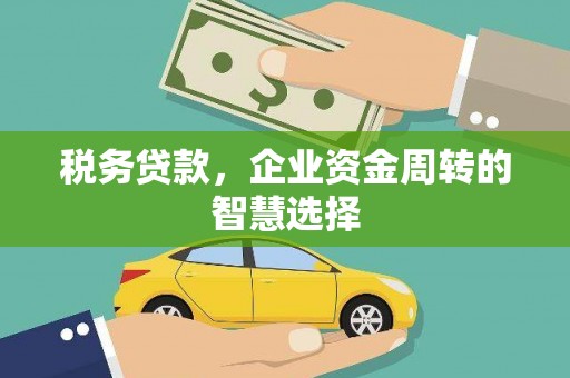 天津税务贷款，企业资金周转的智慧选择