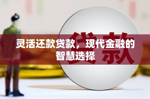 天津灵活还款贷款，现代金融的智慧选择