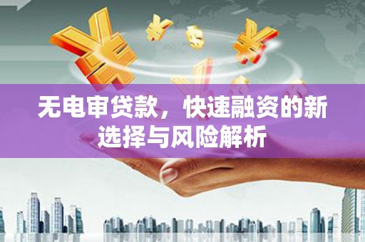 天津无电审贷款，快速融资的新选择与风险解析