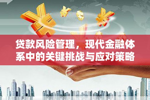 天津贷款风险管理，现代金融体系中的关键挑战与应对策略
