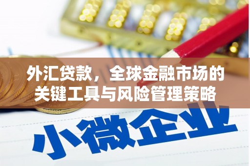 天津外汇贷款，全球金融市场的关键工具与风险管理策略