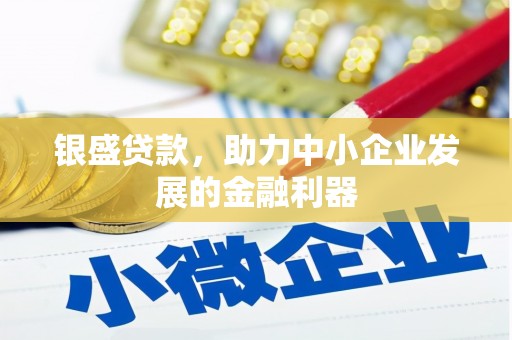 天津银盛贷款，助力中小企业发展的金融利器