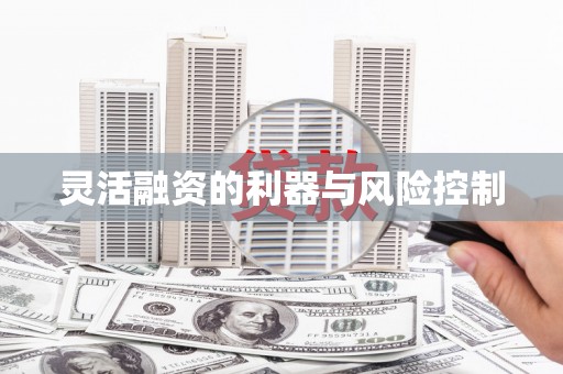 天津灵活融资的利器与风险控制