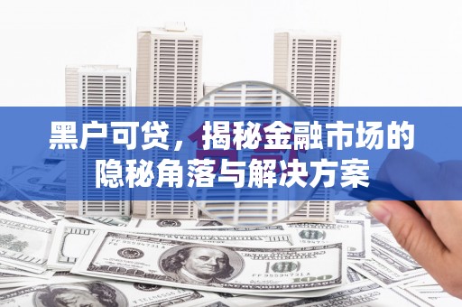 天津黑户可贷，揭秘金融市场的隐秘角落与解决方案