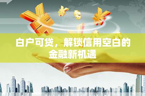 天津白户可贷，解锁信用空白的金融新机遇