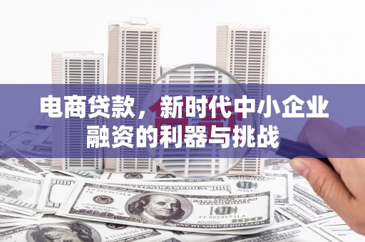 天津电商贷款，新时代中小企业融资的利器与挑战