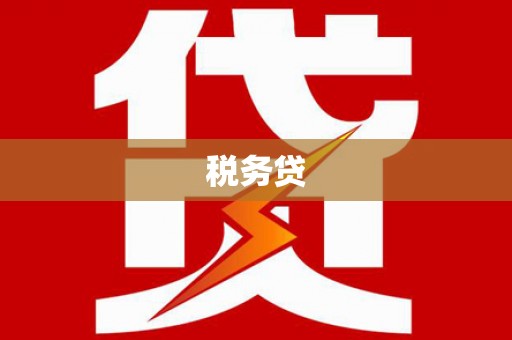 天津税务贷