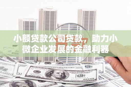 天津小额贷款公司贷款，助力小微企业发展的金融利器