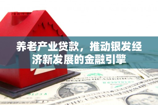 天津养老产业贷款，推动银发经济新发展的金融引擎