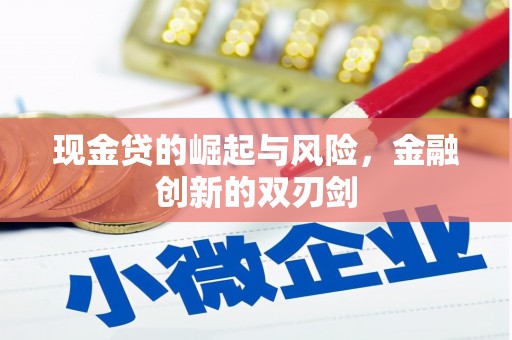 天津现金贷的崛起与风险，金融创新的双刃剑