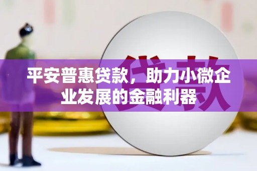 天津平安普惠贷款，助力小微企业发展的金融利器