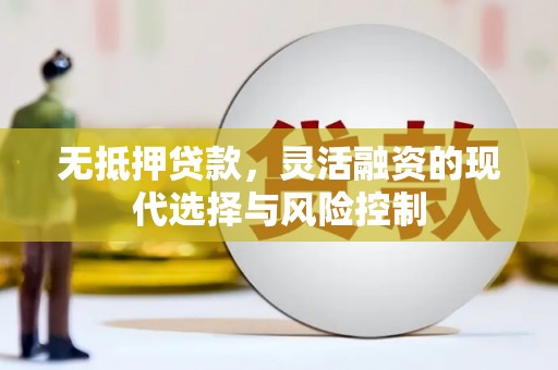 天津无抵押贷款，灵活融资的现代选择与风险控制