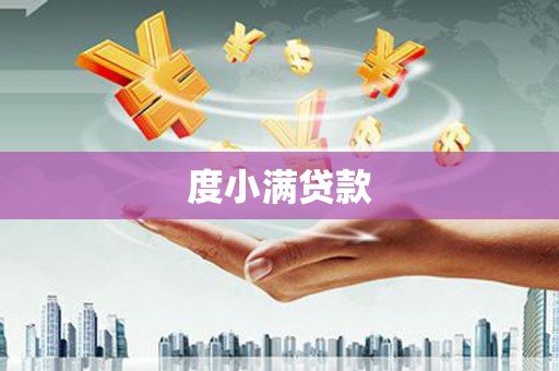 天津度小满贷款