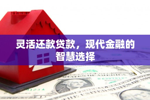 天津灵活还款贷款，现代金融的智慧选择