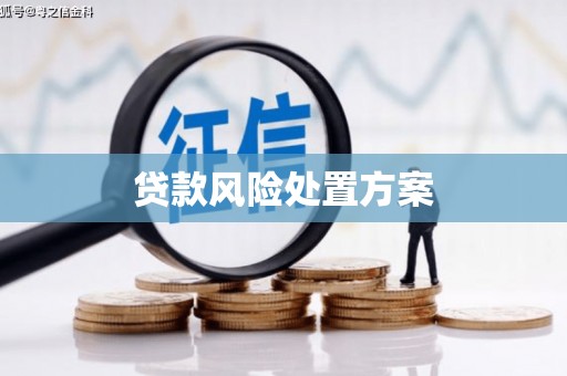 天津贷款风险处置方案