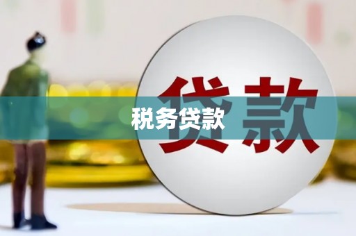 天津税务贷款