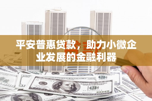 天津平安普惠贷款，助力小微企业发展的金融利器