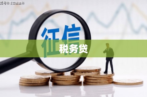 天津税务贷