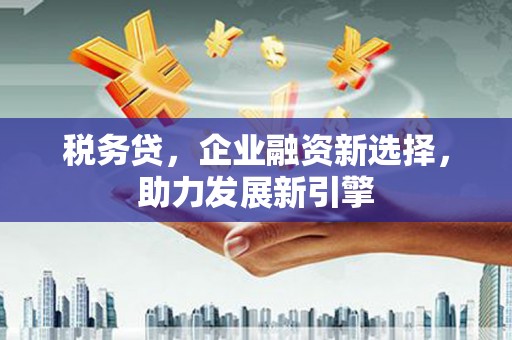 天津税务贷，企业融资新选择，助力发展新引擎