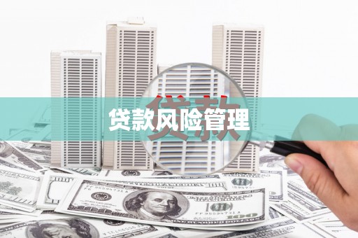 天津贷款风险管理