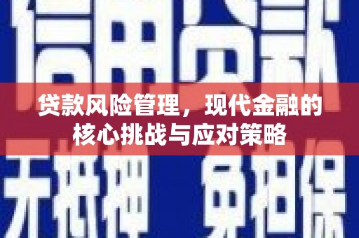 天津贷款风险管理，现代金融的核心挑战与应对策略