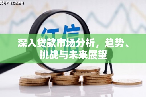 天津深入贷款市场分析，趋势、挑战与未来展望