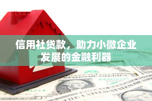 天津信用社贷款，助力小微企业发展的金融利器