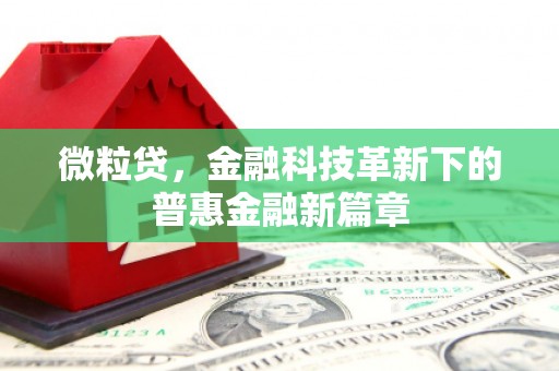 天津微粒贷，金融科技革新下的普惠金融新篇章
