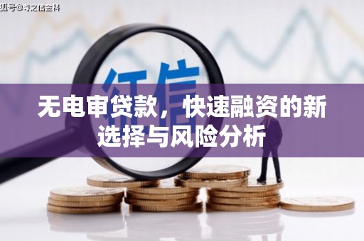 天津无电审贷款，快速融资的新选择与风险分析