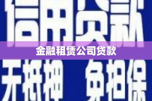 天津金融租赁公司贷款