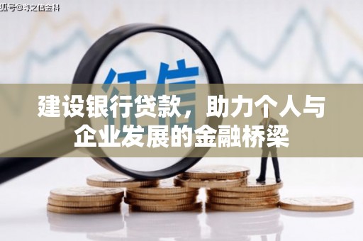 天津建设银行贷款，助力个人与企业发展的金融桥梁