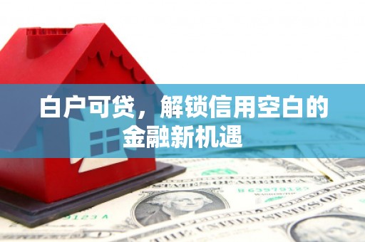 天津白户可贷，解锁信用空白的金融新机遇
