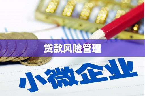 天津贷款风险管理
