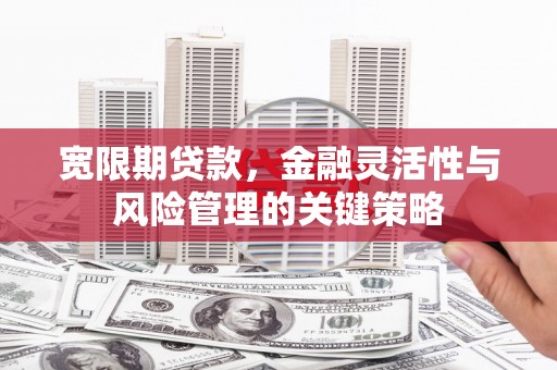 天津宽限期贷款，金融灵活性与风险管理的关键策略