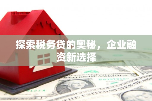 天津探索税务贷的奥秘，企业融资新选择