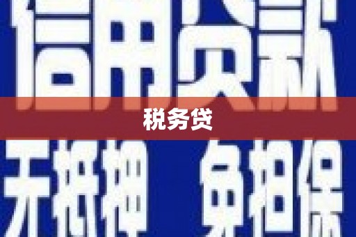 天津税务贷