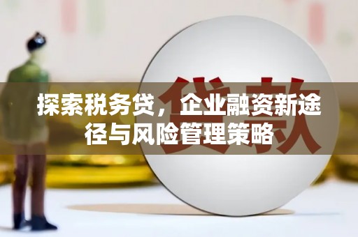 天津探索税务贷，企业融资新途径与风险管理策略