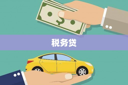天津税务贷