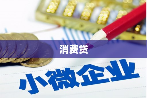 天津消费贷