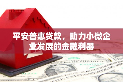 天津平安普惠贷款，助力小微企业发展的金融利器